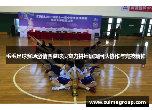 毛毛足球赛场激情四溢球员奋力拼搏展现团队协作与竞技精神