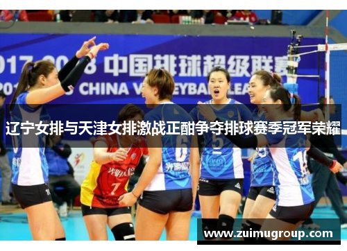 辽宁女排与天津女排激战正酣争夺排球赛季冠军荣耀